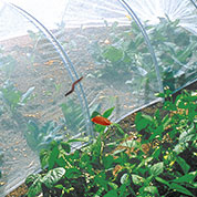 Rede anti-insectos para a horta  2,2 x 10 m